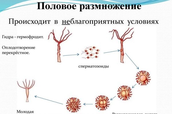 Кракен kr2web in