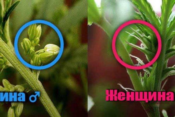 Как сделать заказ на кракен