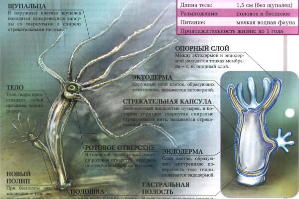 Кракен даркнет площадка