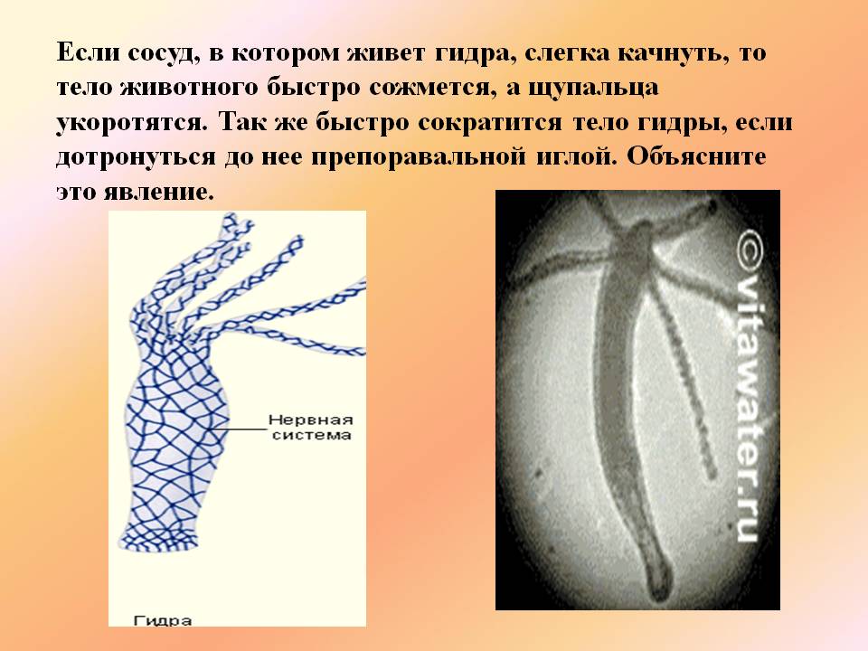 Кракен площадка kr2web in